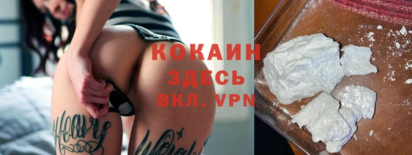 гидра Белокуриха