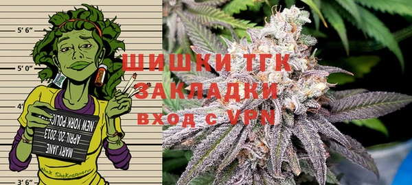гидра Белокуриха
