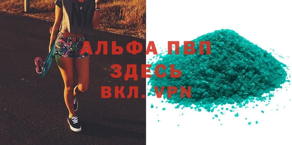 гидра Белокуриха