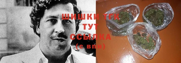 гидра Белокуриха