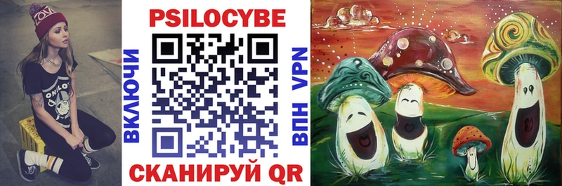 Псилоцибиновые грибы Psilocybe  закладки  Олёкминск 